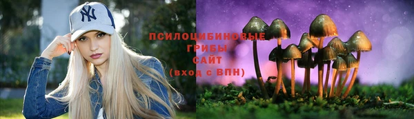 мяу мяу мука Абдулино