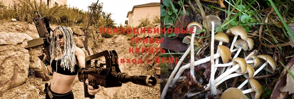 мяу мяу мука Абдулино
