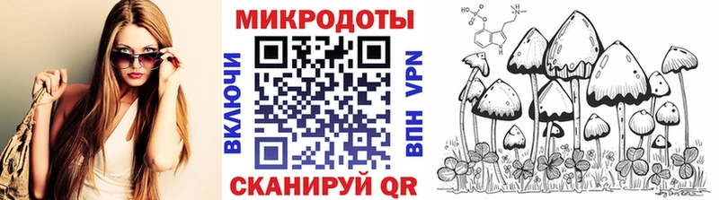 как найти закладки  KRAKEN зеркало  Галлюциногенные грибы Psilocybine cubensis  Новочебоксарск 