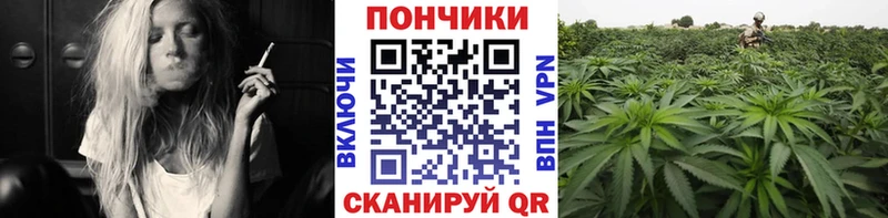 Бошки марихуана Amnesia  наркошоп  Новочебоксарск 